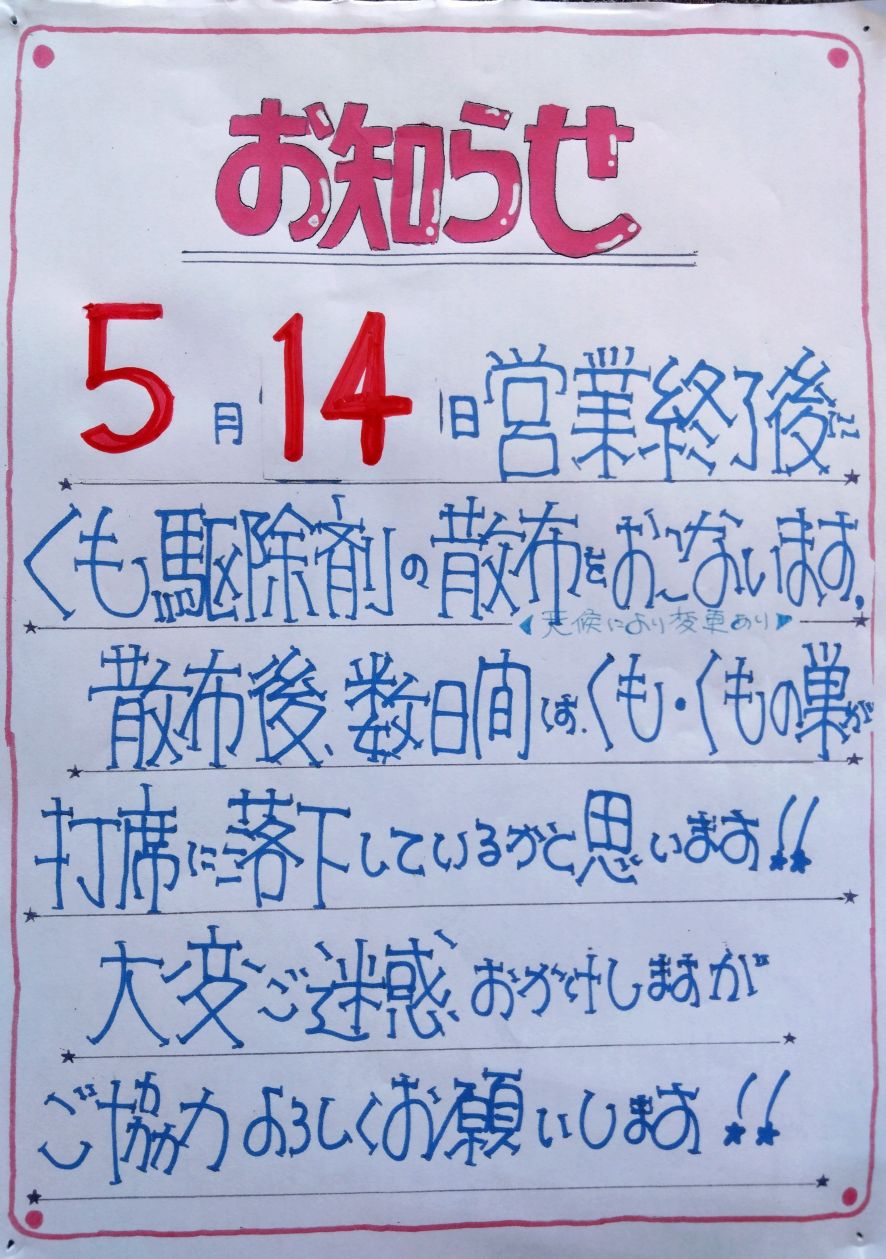 クモの駆除